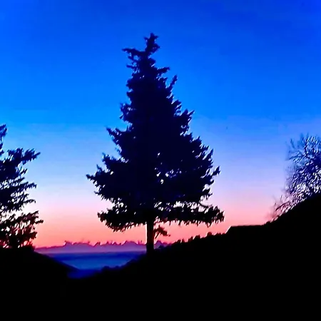 Hébergement de vacances Dolce Ciaixe Camporosso (Liguria)