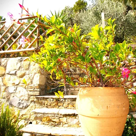 度假居 Dolce Ciaixe